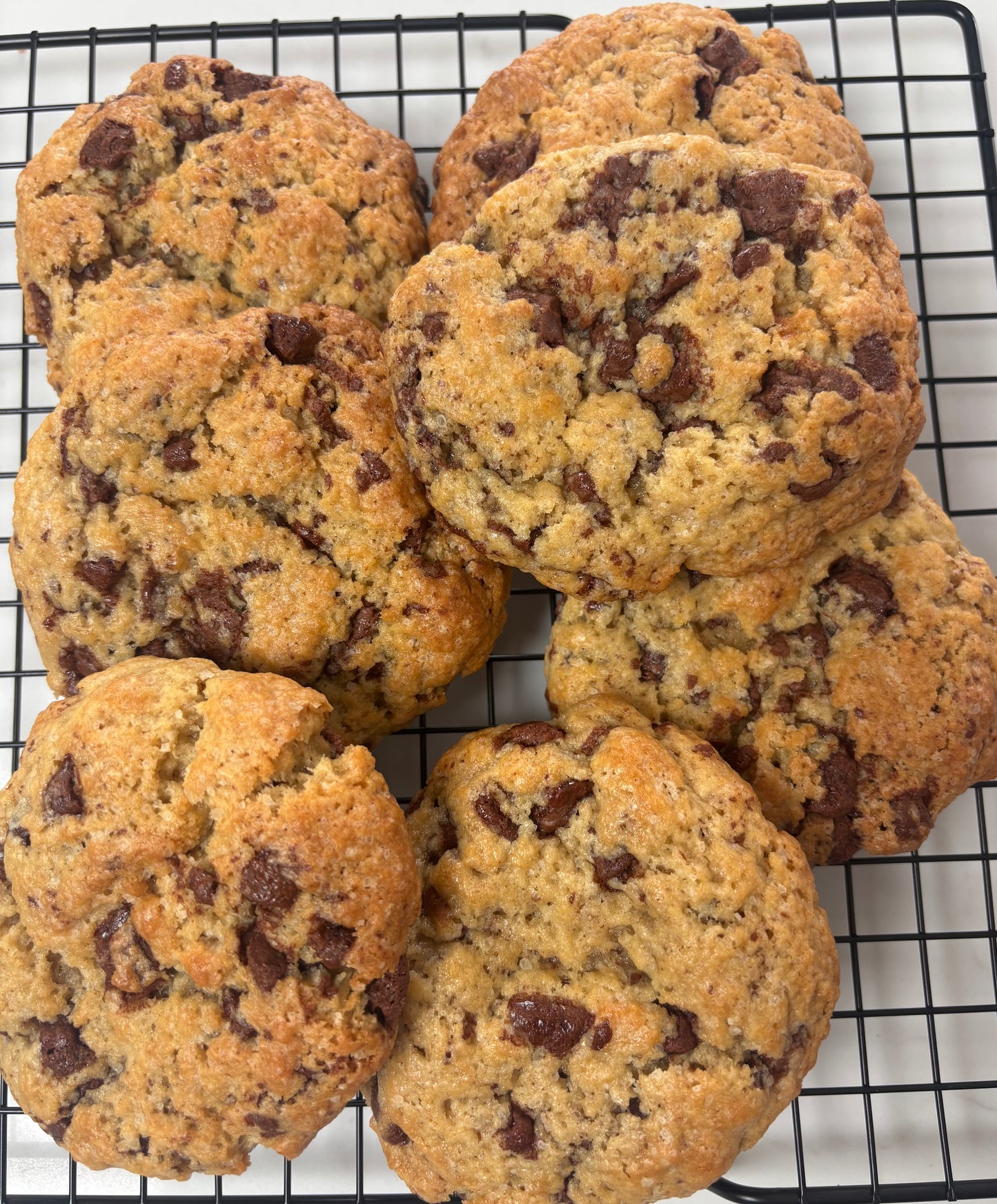 Chocolate Chip Cookie