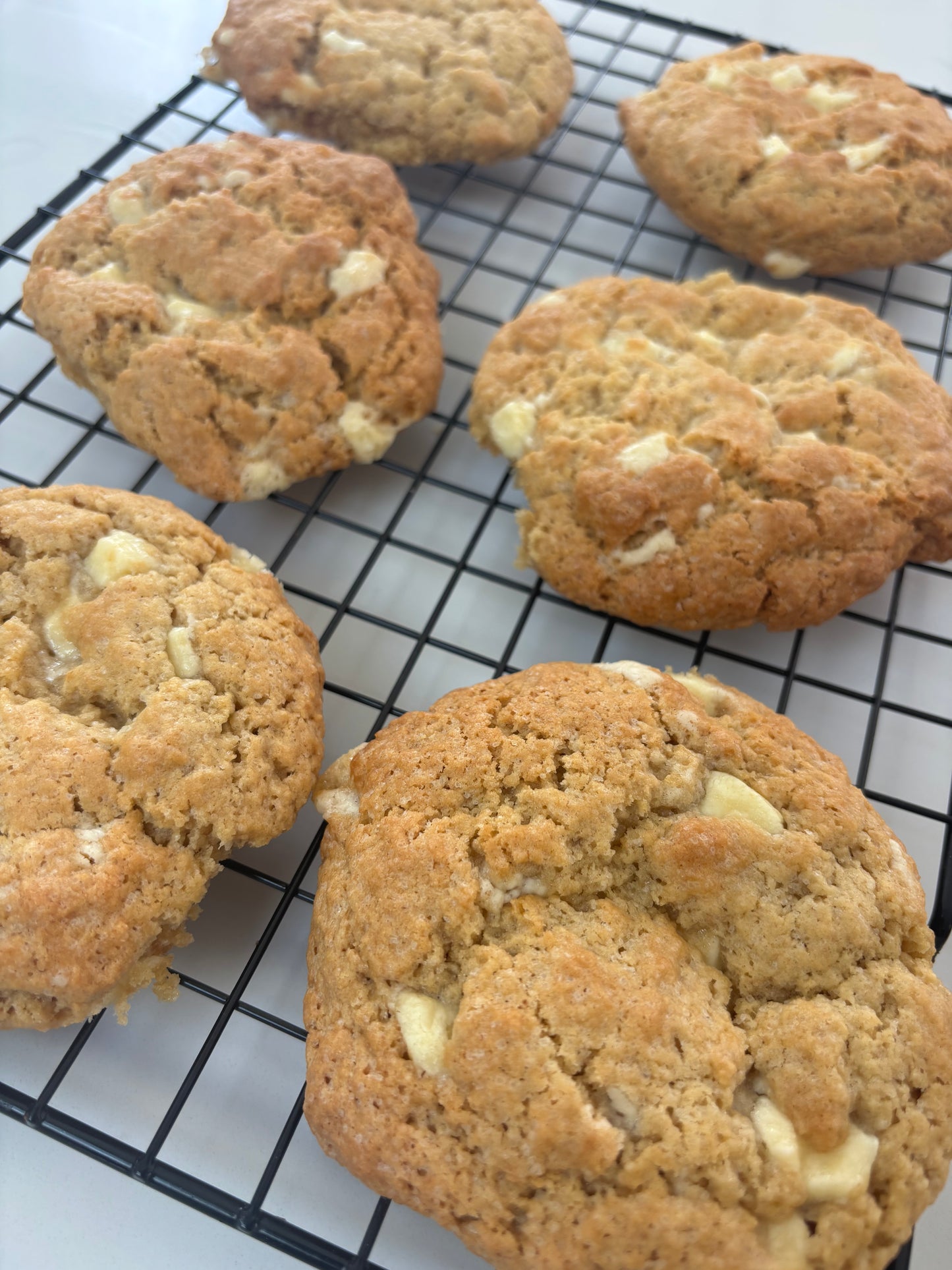 White Choc Chip Cookie