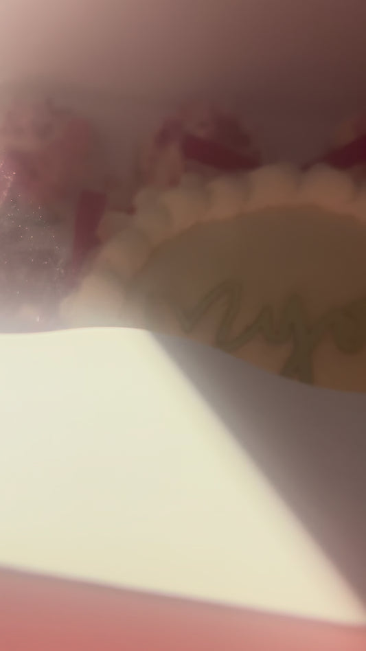 Bento Cake & 5 Cupcakes